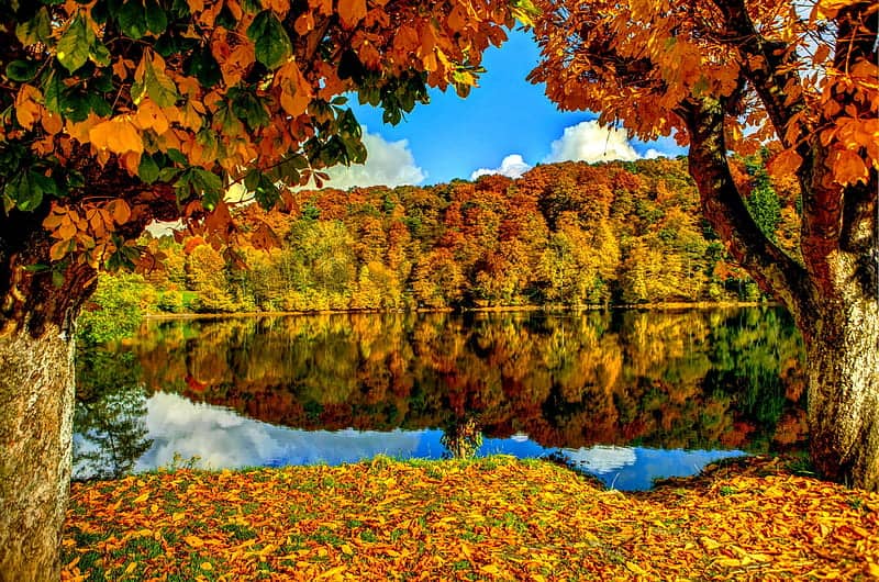 3 Places to Find Peace in Autumn!